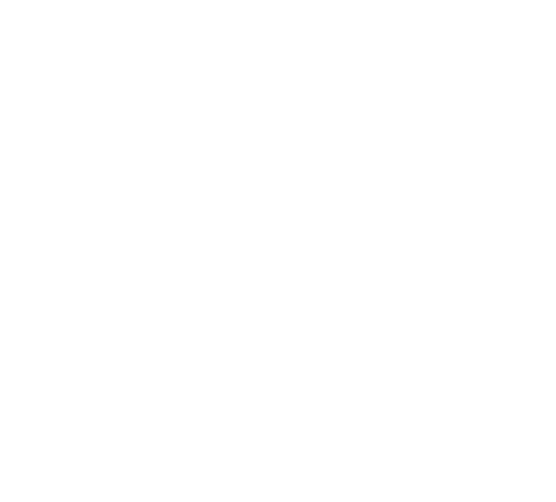 MY TRAVEl BUDDY